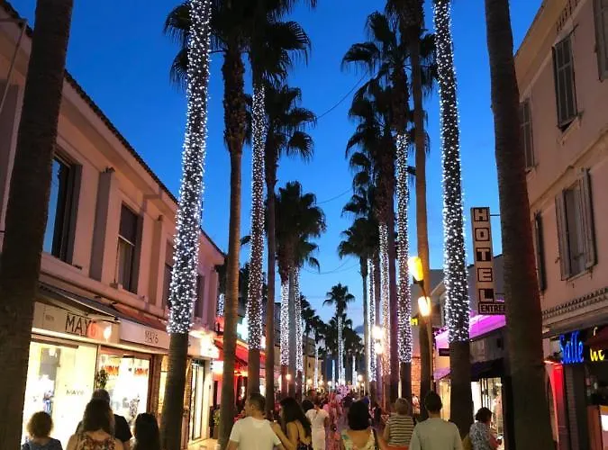 3 Pieces, Refait A Neuf, Standing, Piscine, A Pieds *