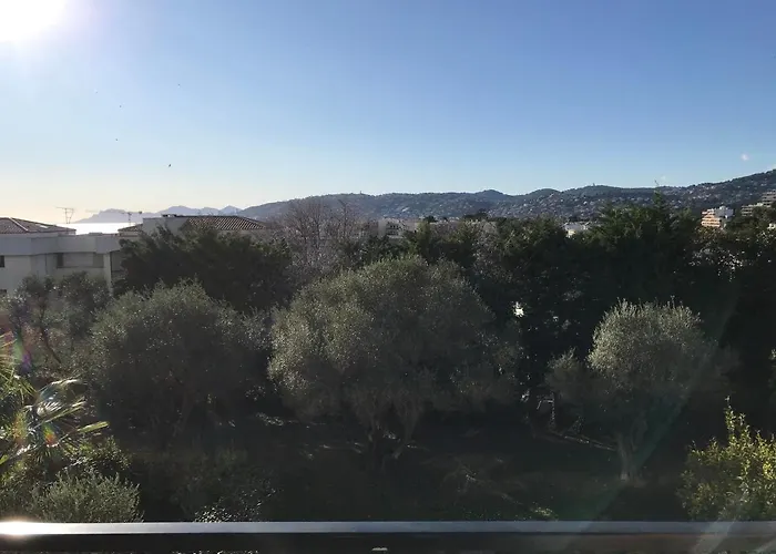 Lägenhet 3 Pieces, Refait A Neuf, Standing, Piscine, A Pieds Antibes