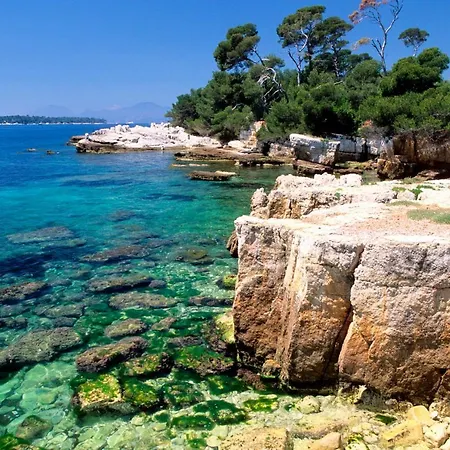 3 Pieces, Refait A Neuf, Standing, Piscine, A Pieds Antibes