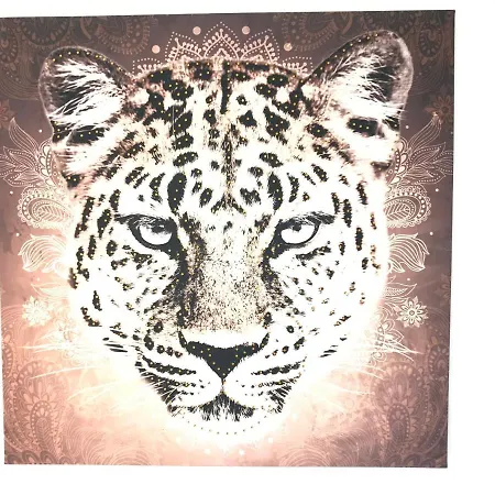 3 Pieces, Refait A Neuf, Standing, Piscine, A Pieds Daire Antibes