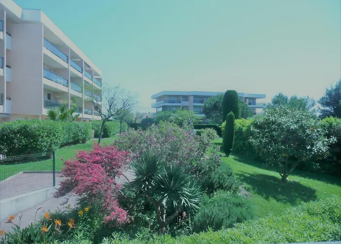 3 Pieces, Refait A Neuf, Standing, Piscine, A Pieds *