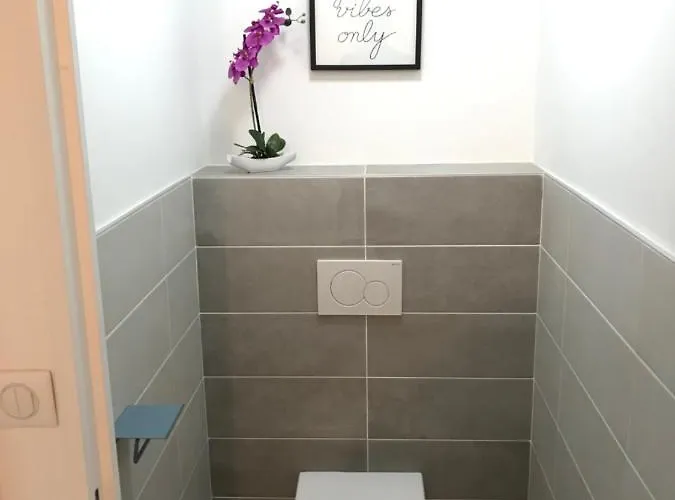 3 Pieces, Refait A Neuf, Standing, Piscine, A Pieds Daire *